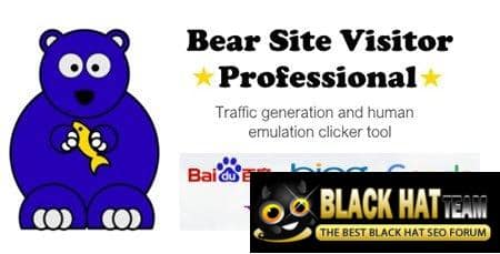 Télécharger  Bear Site Visitor Pro 2.0 Keygen