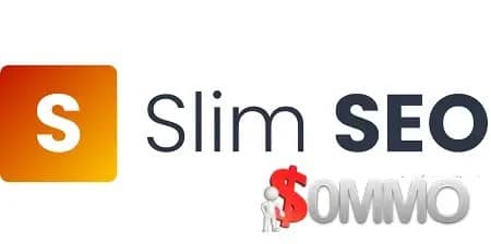 [Groupement d’achat] Slim SEO Link Manager AGENCY LTD » Make Money Online From 0$ – 0mmo.net livraison instantanée