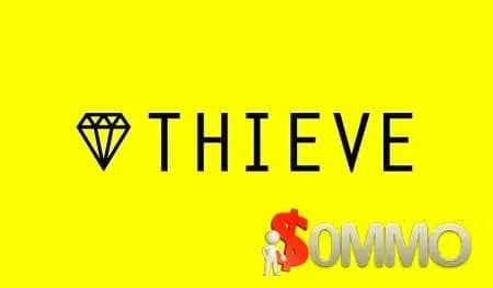[Groupement d’achat]  Thieve.co Pro livraison instantanée