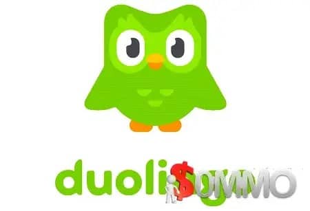 [Groupement d’achat]  Duolingo Plus Offre spéciale