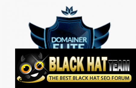 domainer elite features